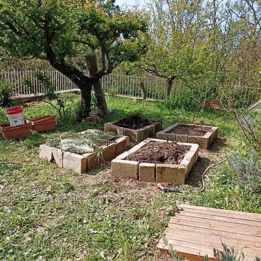 Ripe'S Forest Garden Guest House Roma Esterno foto